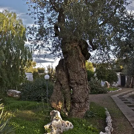 Alloggio per agriturismo Masseria Vagone *