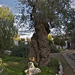 Κατάλυμα σε φάρμα Masseria Vagone *