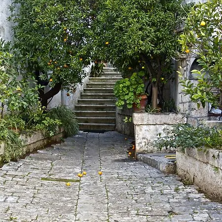 Agroturismo Masseria Vagone *